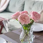 Location 1-bedroom Apartment *